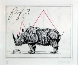 Rhino Fig 3