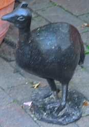 Guinea Fowl